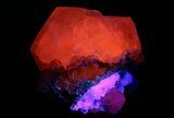 Large Vitreous Calcite Crystal Cluster - Fluorescent! #351774-2